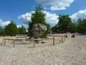 2014-06-05 12-04-12 Foret de Fontainebleau FGn